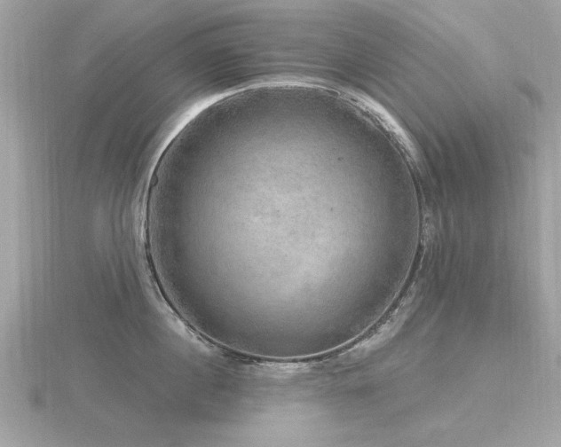 X0000116590860200912101538