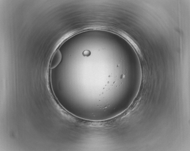 X0000116590861200912101538