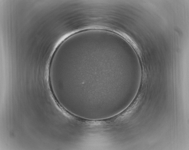 X0000116590862200912101538