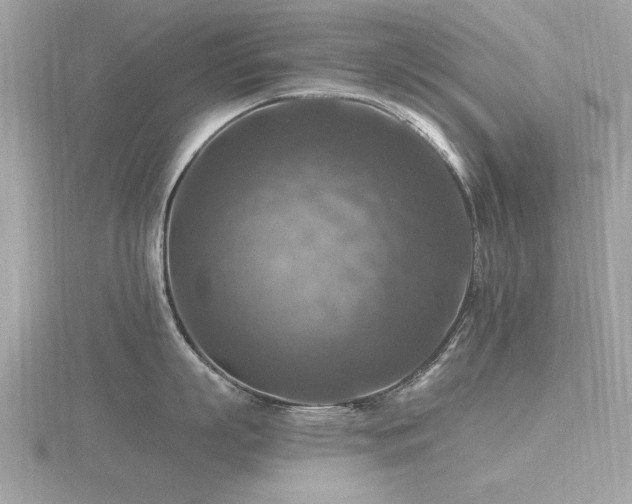 X0000116590863200912101538