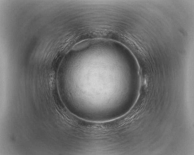 X0000116590867200912101537