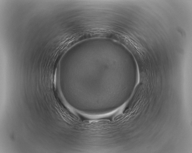 X0000116590868200912101537