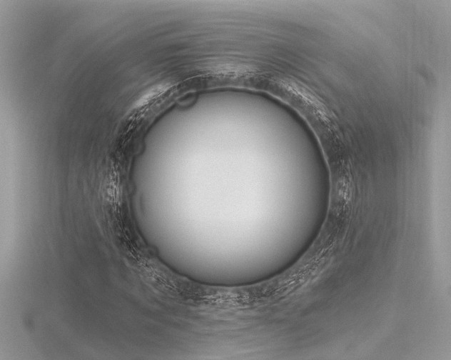 X0000116590869200912101537