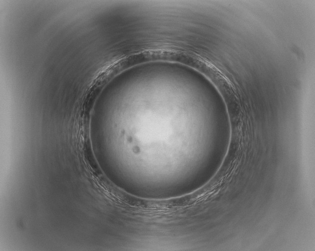 X0000116590870200912101537