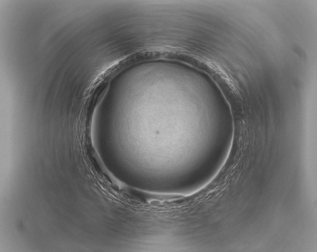 X0000116590872200912101537