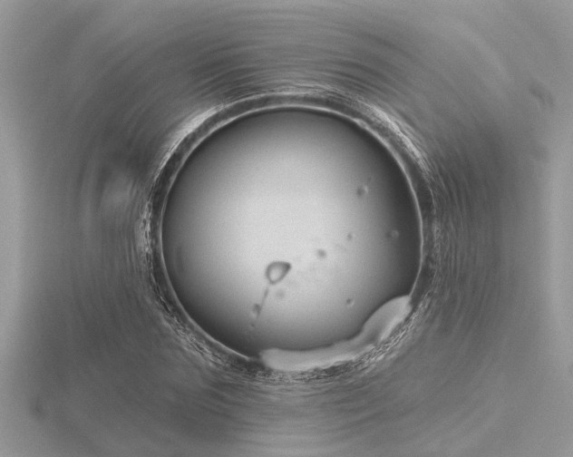 X0000116590875200912101537