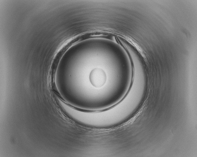 X0000116590877200912101537