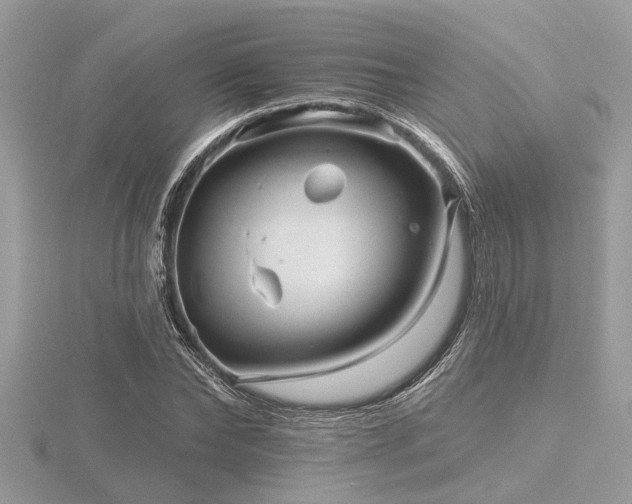 X0000116590878200912101537