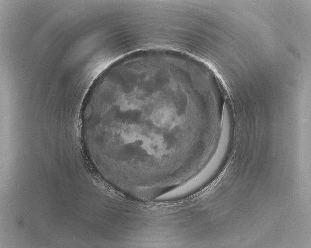 X0000116590879200912101537