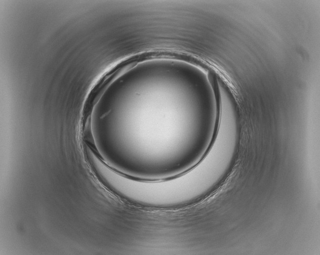 X0000116590880200912101537