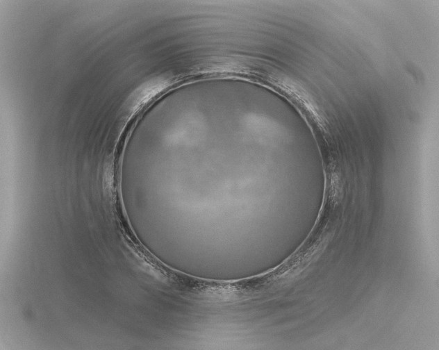 X0000116590882200912101537