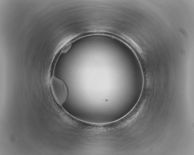 X0000116590885200912101537