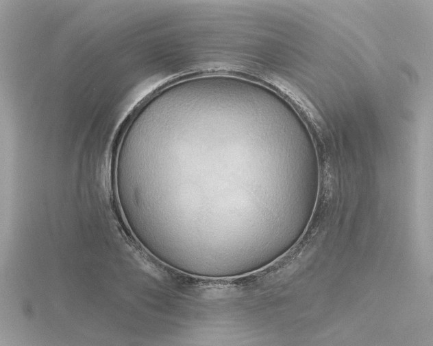 X0000116590886200912101537
