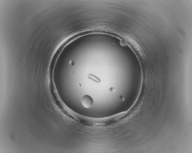 X0000116590888200912101537