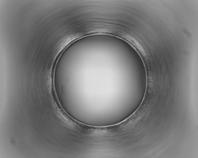 X0000116590890200912101537