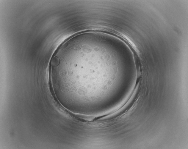 X0000116590891200912101537