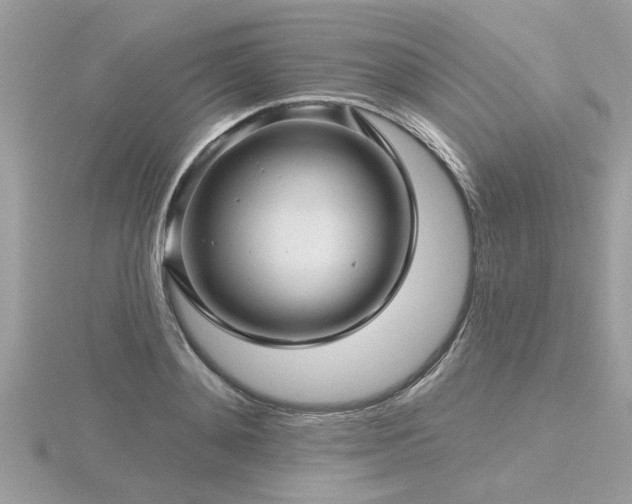 X0000116590892200912101537