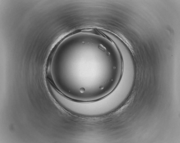 X0000116590893200912101537