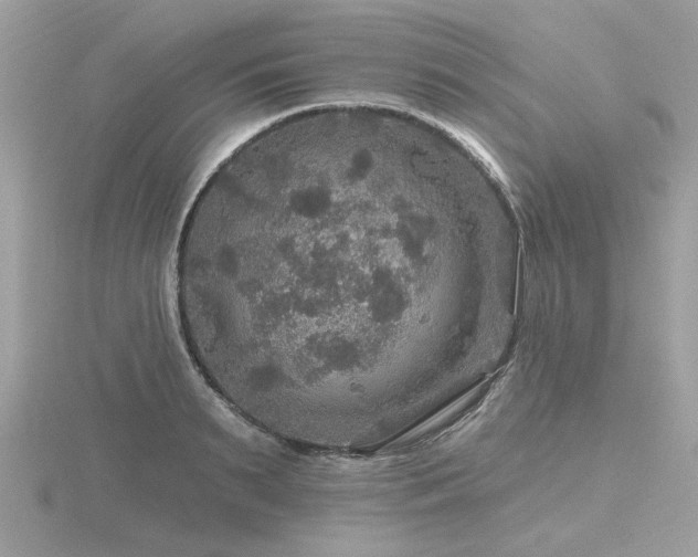 X0000116590895200912101537