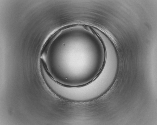 X0000116590896200912101537