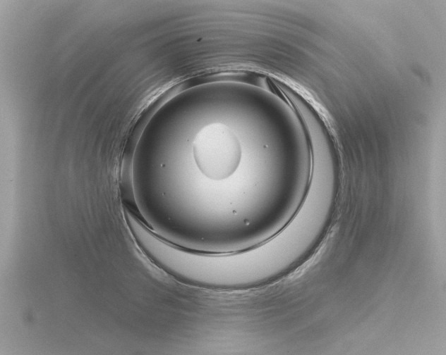 X0000116590897200912101537