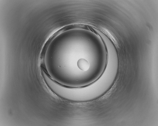 X0000116590900200912101537