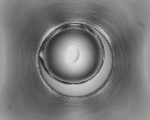 X0000116590901200912101537