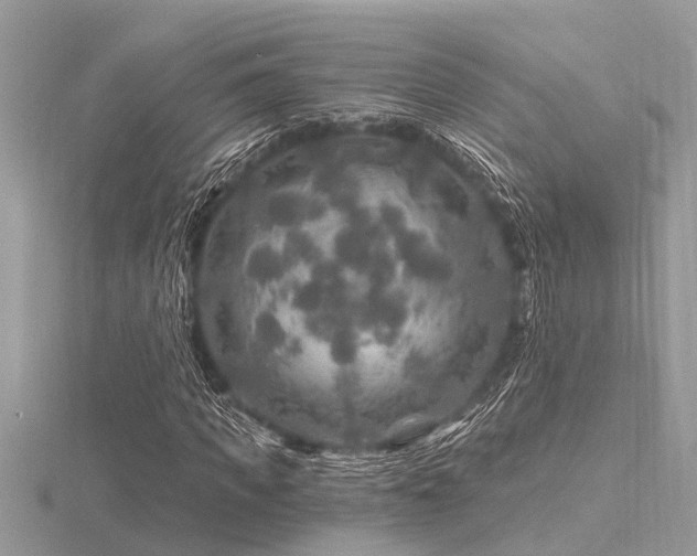 X0000116590917200912101536