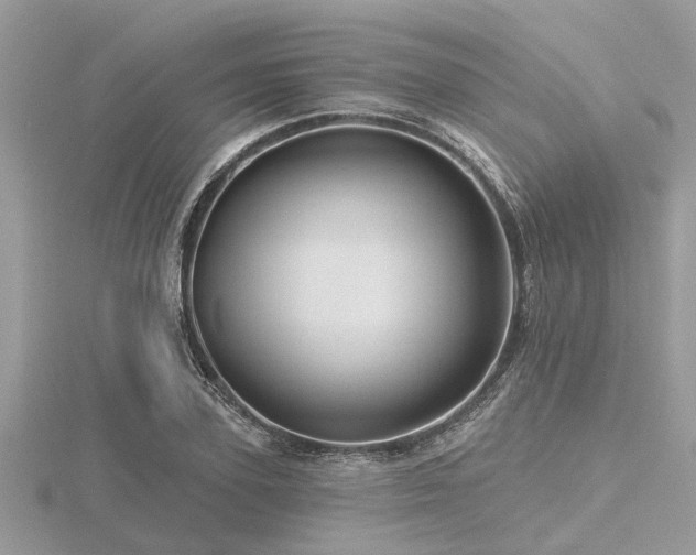 X0000116590931200912101536