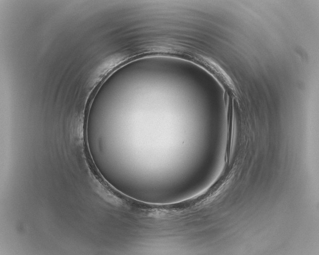 X0000116590938200912101536