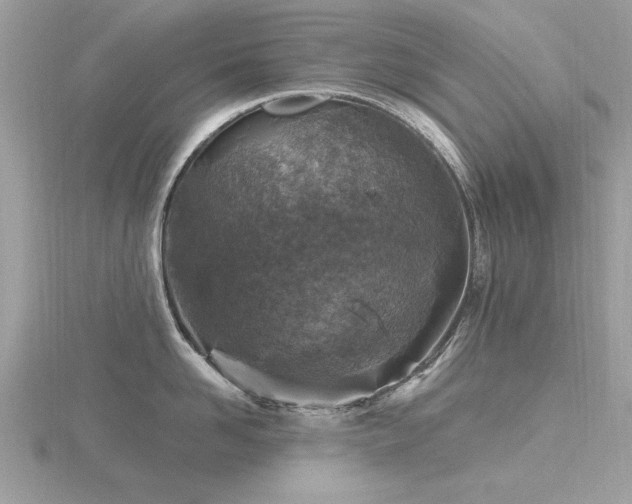 X0000116590958200912101536