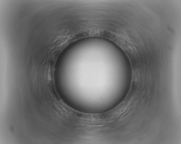 X0000116590962200912101536
