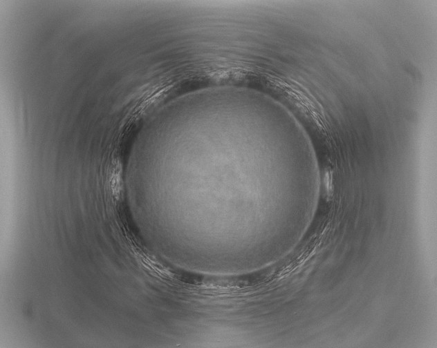X0000116590963200912101536