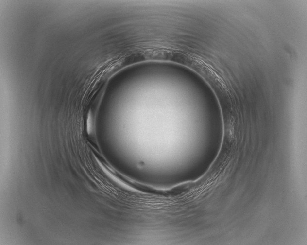 X0000116590964200912101536