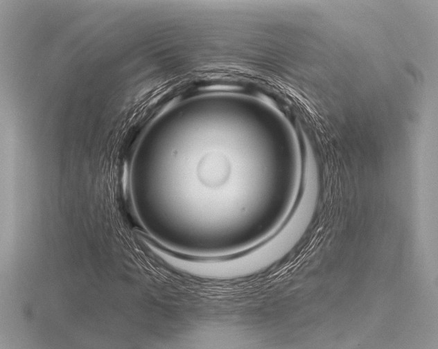 X0000116590965200912101536