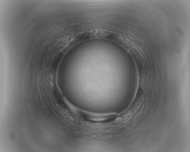 X0000116591010200912101534