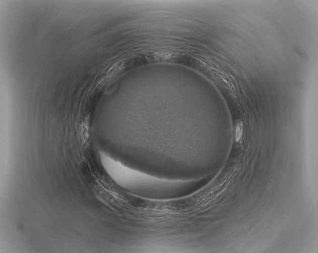 X0000116591011200912101534