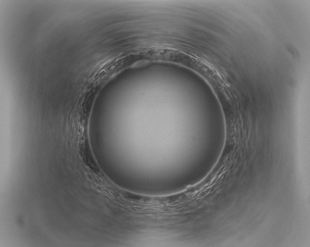 X0000116591013200912101534
