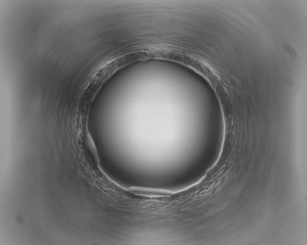 X0000116591016200912101534