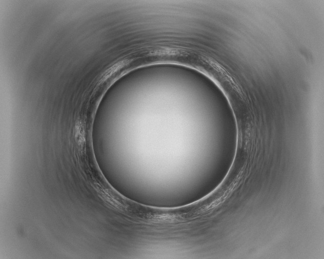 X0000116591017200912101534