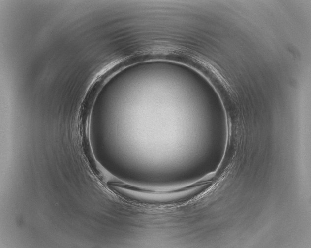 X0000116591018200912101534