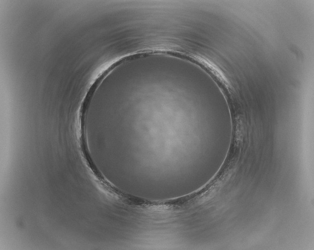 X0000116591031200912101535