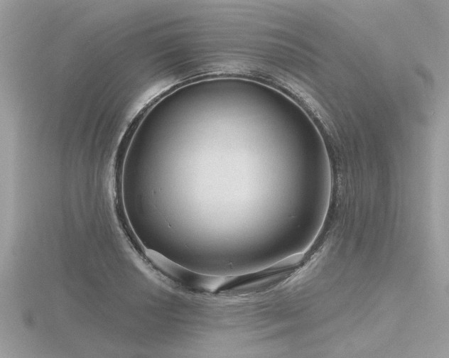 X0000116591034200912101535