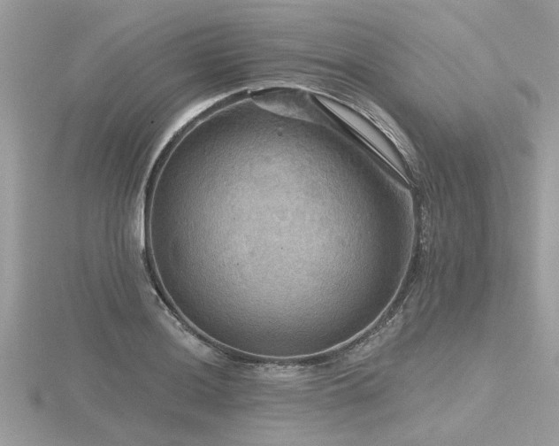 X0000116591036200912101535