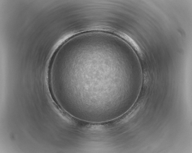 X0000116591043200912101535