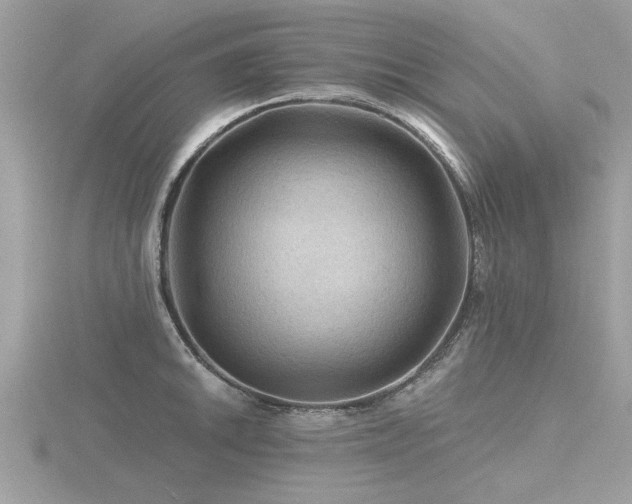 X0000116591046200912101535