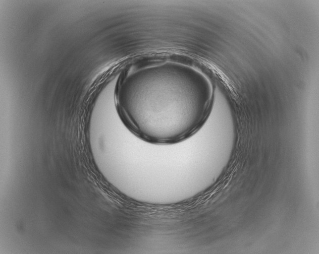 X0000116591064200912101534