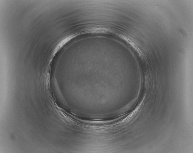 X0000116591066200912101534