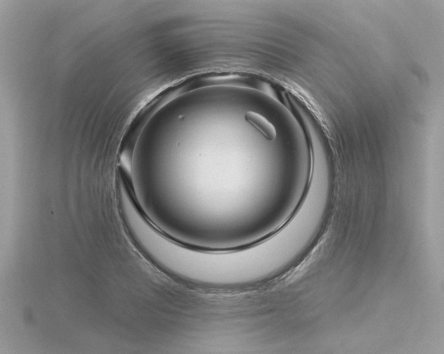 X0000116591081200912101534