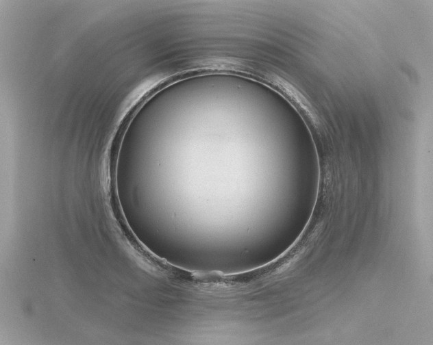 X0000116591082200912101534